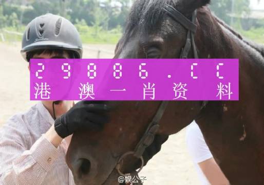 澳門一肖一碼最準(zhǔn)一碼,澳門一肖一碼最準(zhǔn)一碼，揭示背后的真相與風(fēng)險