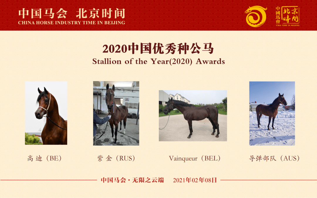 今晚澳門馬出什么特馬,關于今晚澳門馬會出什么特馬的分析與探討——警惕賭博犯罪風險