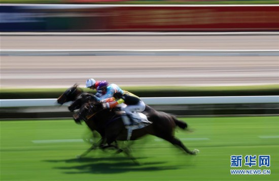 香港最準馬會資料免費,香港最準馬會資料免費，探索賽馬運動的魅力與公開資料的價值