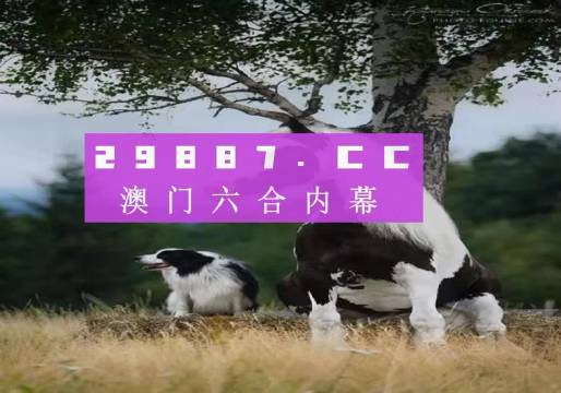 澳門內(nèi)部正版免費(fèi)資料使用方法,澳門內(nèi)部正版免費(fèi)資料的使用方法及其價值