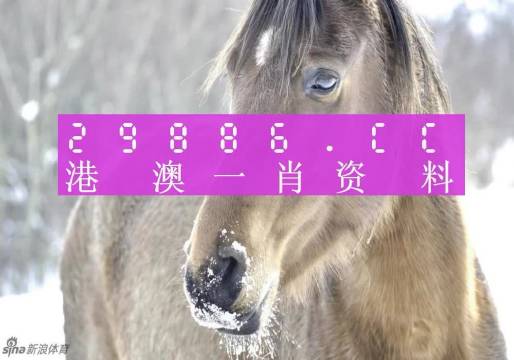 澳門(mén)一肖一碼100%精準(zhǔn),澳門(mén)一肖一碼，揭秘背后的真相與風(fēng)險(xiǎn)警示