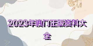 2023澳門正版全年免費(fèi)資料,澳門正版全年免費(fèi)資料，探索與期待