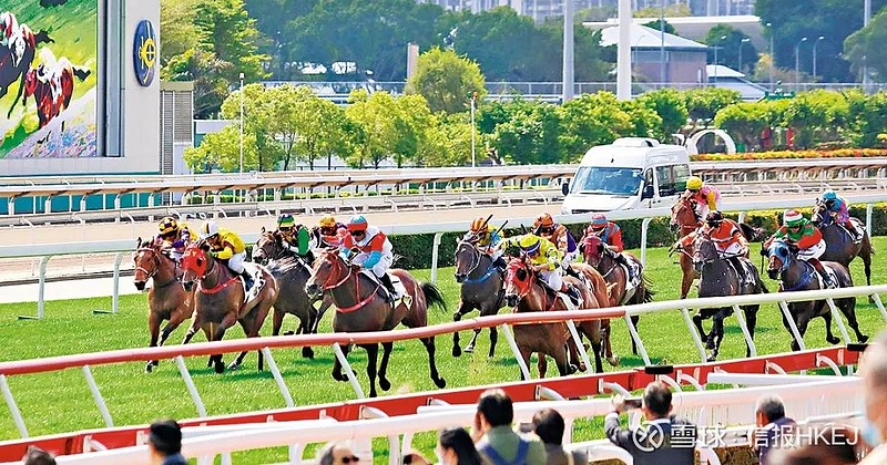 馬會傳真,馬會傳真，探索馬術(shù)運(yùn)動中的信息傳遞與競技精神