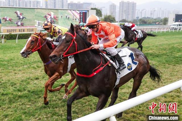 2025今晚香港開特馬,關(guān)于香港賽馬會(huì)特馬賽事的探討