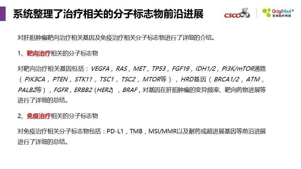 2025年新澳精準(zhǔn)資料免費(fèi)提供網(wǎng)站,探索未來，2025年新澳精準(zhǔn)資料免費(fèi)提供的網(wǎng)站展望