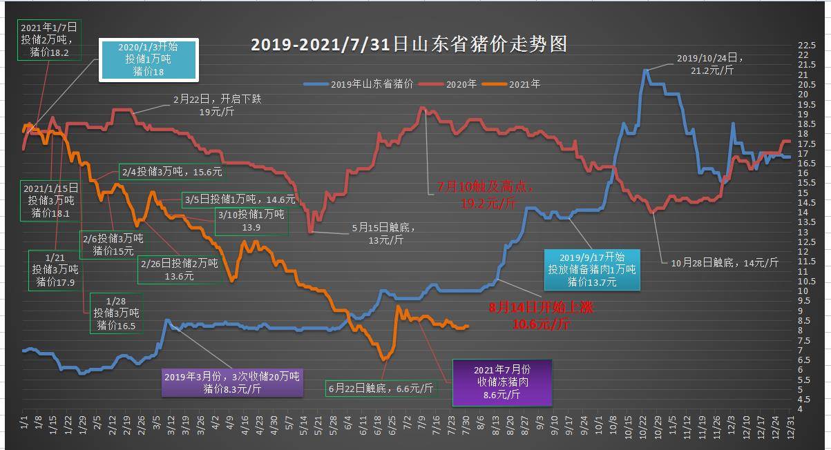 2023年澳門特馬今晚開碼,澳門特馬今晚開碼，探索未來的繁榮與機遇