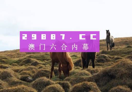 新澳門開獎(jiǎng)結(jié)果+開獎(jiǎng)結(jié)果,新澳門開獎(jiǎng)結(jié)果及開獎(jiǎng)概述