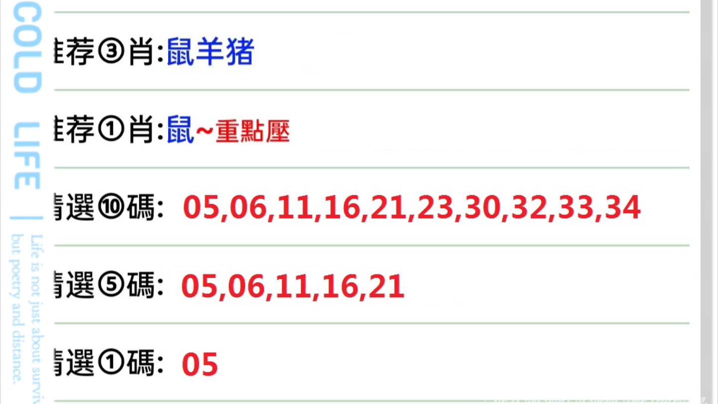 新澳門開獎結果 開獎號碼,新澳門開獎結果及其開獎號碼，探索與解析